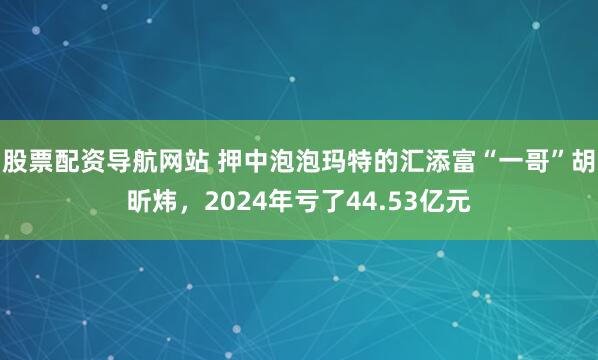 股票配资导航网站 押中泡泡玛特的汇添富“一哥”胡昕炜，2024年亏了44.53亿元
