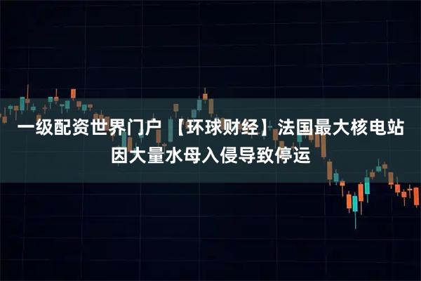 一级配资世界门户 【环球财经】法国最大核电站因大量水母入侵导致停运