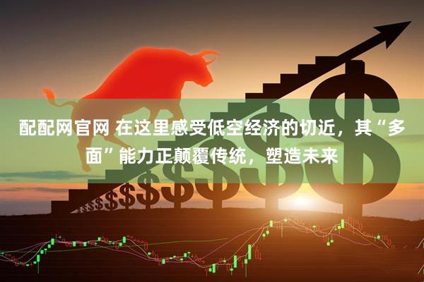 配配网官网 在这里感受低空经济的切近，其“多面”能力正颠覆传统，塑造未来
